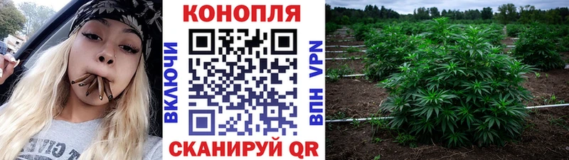 Как найти наркотики Краснотурьинск A PVP  Меф мяу мяу  COCAIN  ГАШ  Бошки Шишки 