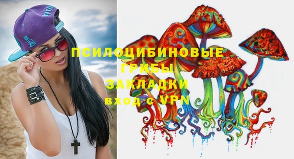 синтетический гашиш Белокуриха