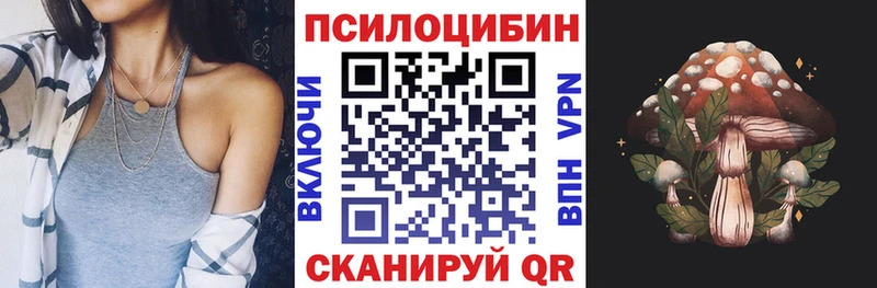 наркошоп  Краснотурьинск  Псилоцибиновые грибы GOLDEN TEACHER 